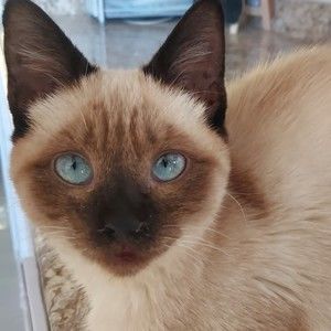 Meet your Posher, Cindy